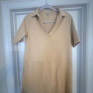 Naked Zebra Beige Suede Dress